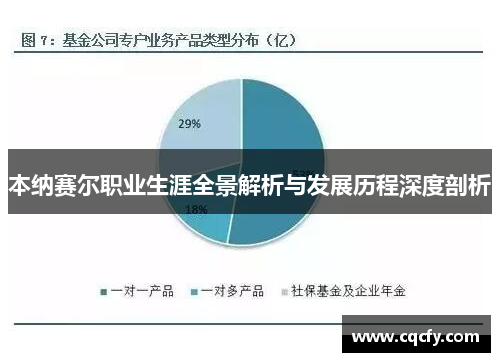 本纳赛尔职业生涯全景解析与发展历程深度剖析