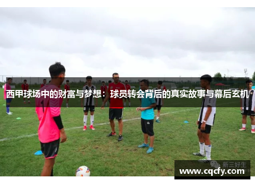 西甲球场中的财富与梦想：球员转会背后的真实故事与幕后玄机