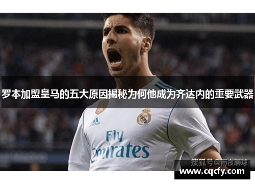 罗本加盟皇马的五大原因揭秘为何他成为齐达内的重要武器