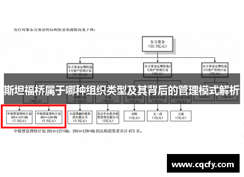 斯坦福桥属于哪种组织类型及其背后的管理模式解析